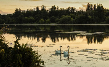 Chovateľské a rybárske potreby